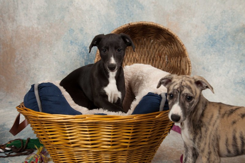 BarbGardocki11022021RAW0021