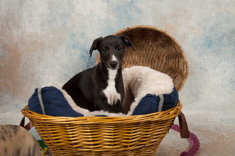 BarbGardocki11022021RAW0022