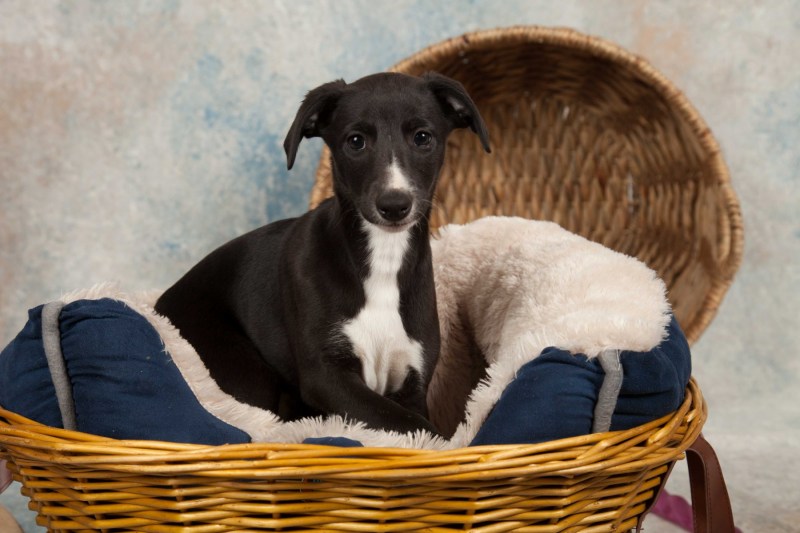 BarbGardocki11022021RAW0023