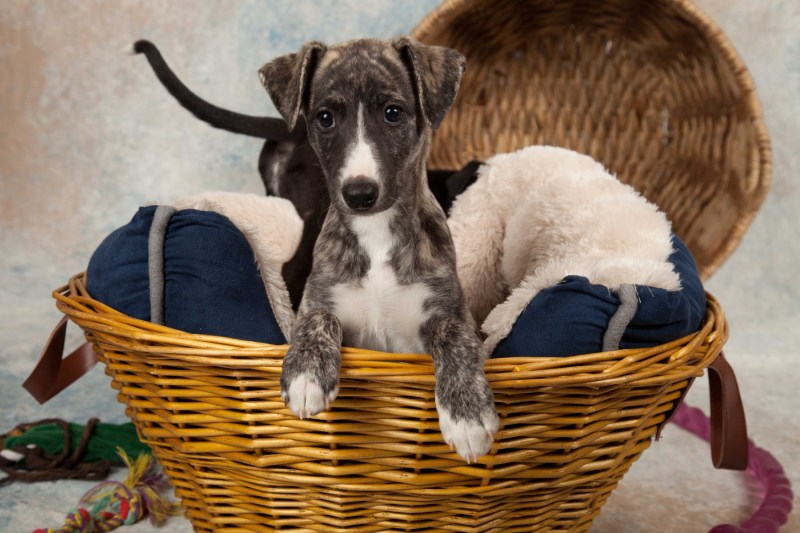 BarbGardocki11022021RAW0027