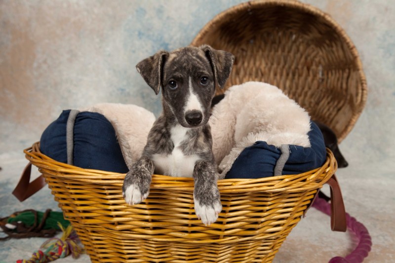 BarbGardocki11022021RAW0029