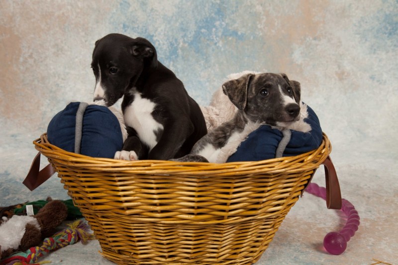 BarbGardocki11022021RAW0034