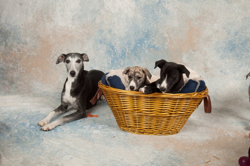 BarbGardocki11022021RAW0051