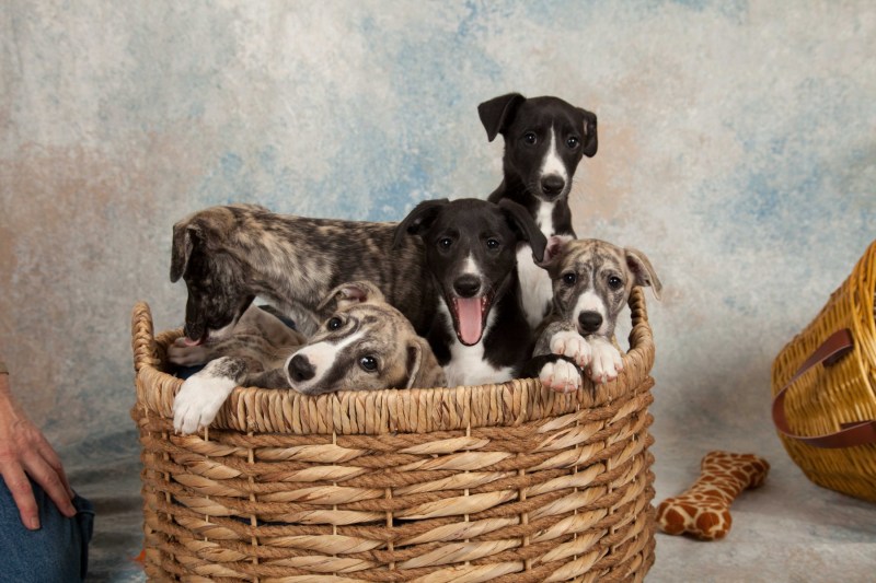 BarbGardocki11022021RAW0076