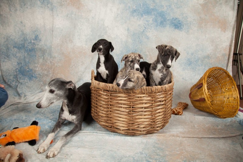 BarbGardocki11022021RAW0090