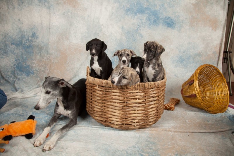 BarbGardocki11022021RAW0091