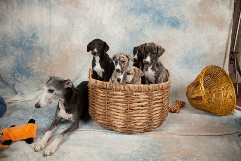 BarbGardocki11022021RAW0092