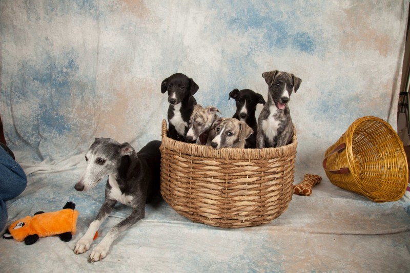 BarbGardocki11022021RAW0094