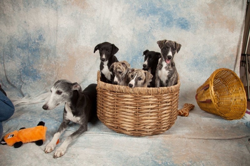 BarbGardocki11022021RAW0095