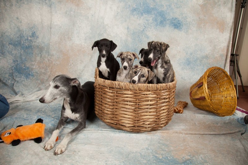 BarbGardocki11022021RAW0097