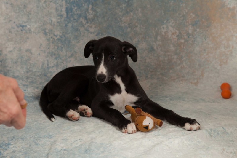 BarbGardocki11022021RAW0133