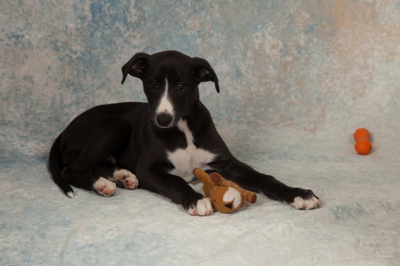 BarbGardocki11022021RAW0134