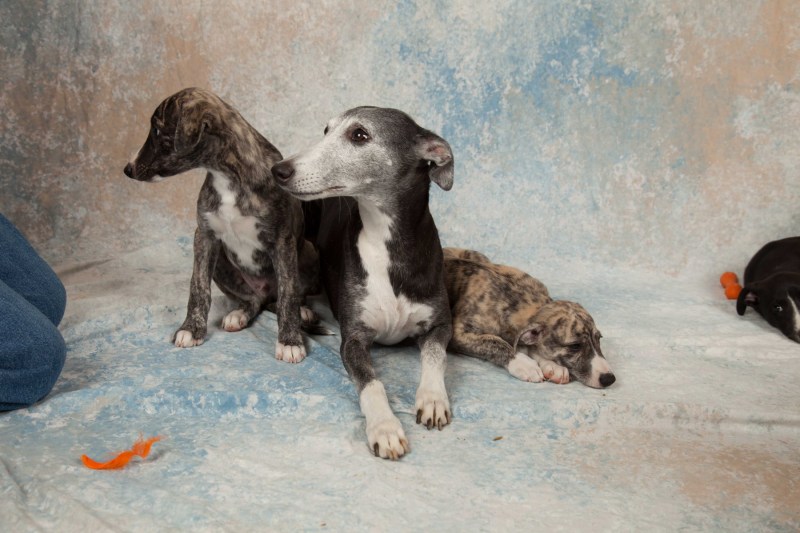 BarbGardocki11022021RAW0135