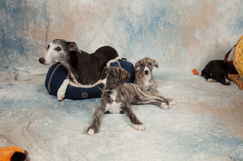 BarbGardocki11022021RAW0140