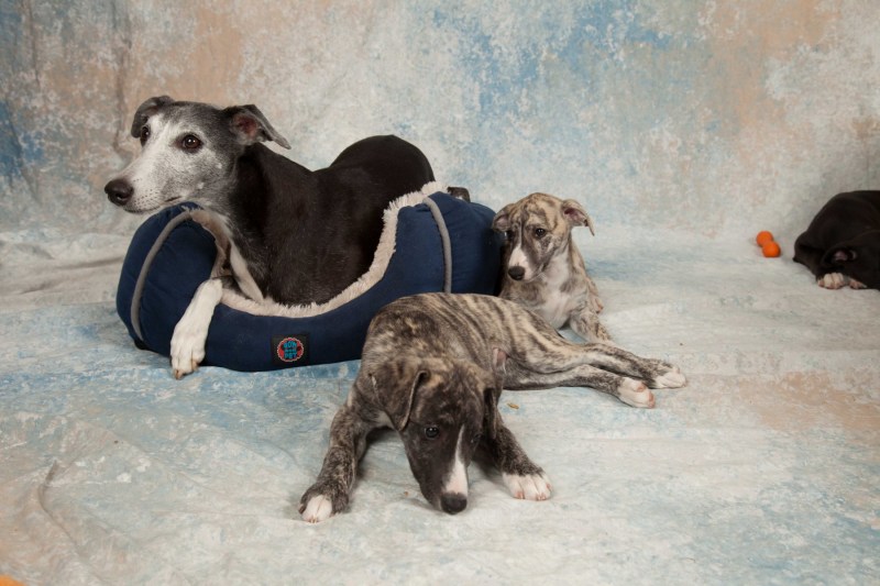 BarbGardocki11022021RAW0141