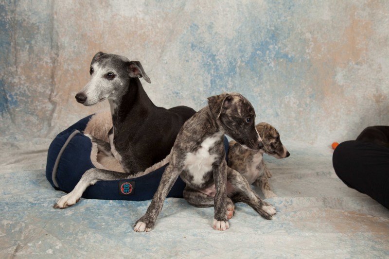 BarbGardocki11022021RAW0144