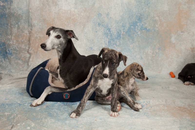 BarbGardocki11022021RAW0145