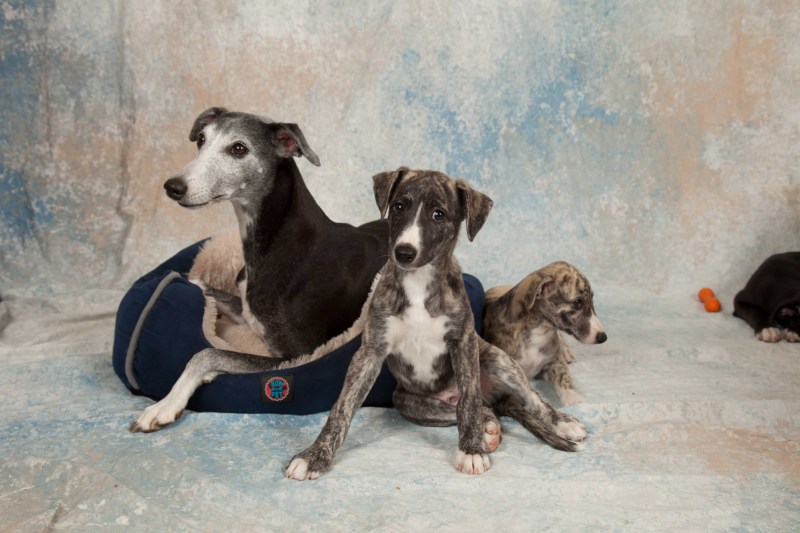 BarbGardocki11022021RAW0147