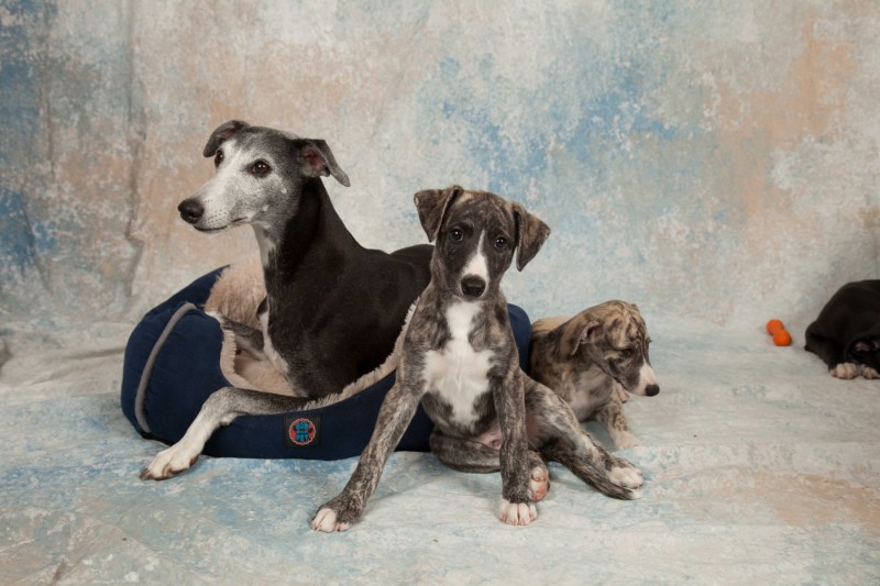 BarbGardocki11022021RAW0148