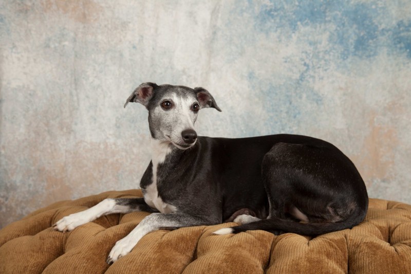 BarbGardocki11022021RAW0178