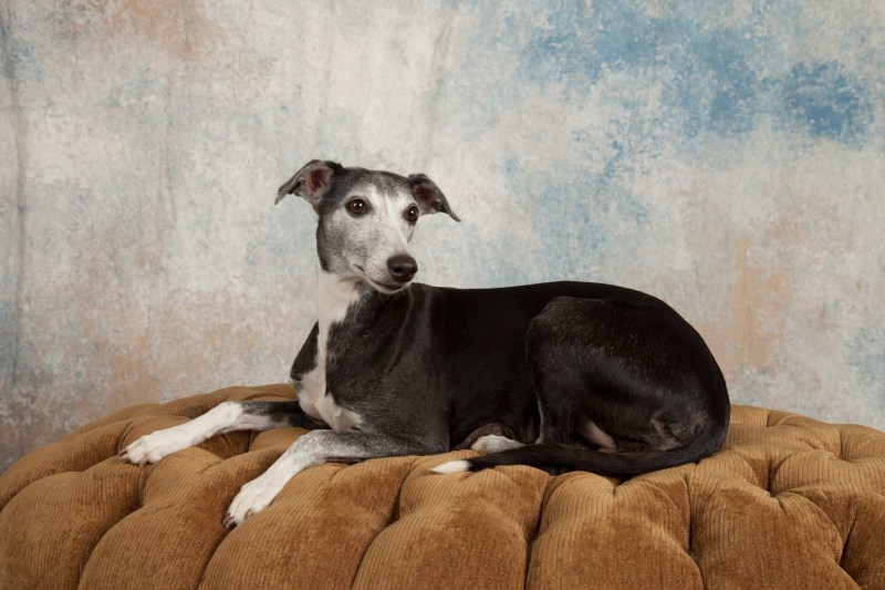 BarbGardocki11022021RAW0179