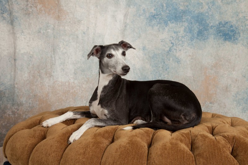 BarbGardocki11022021RAW0180