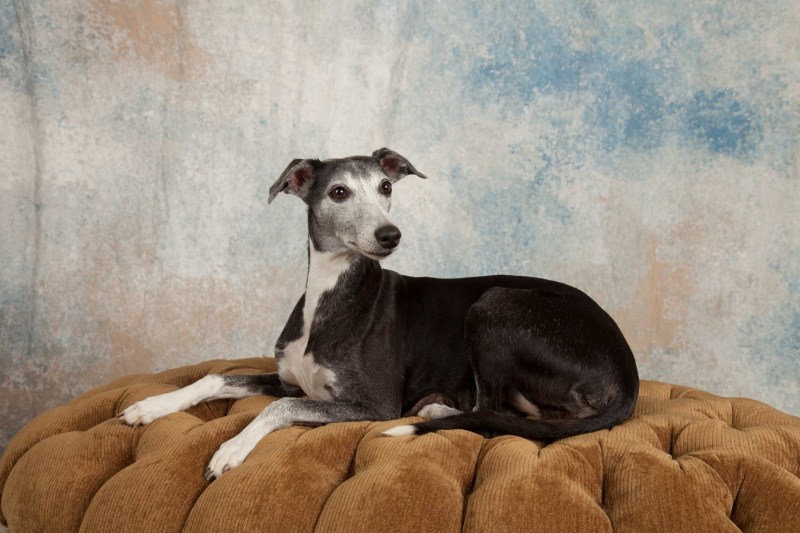 BarbGardocki11022021RAW0181