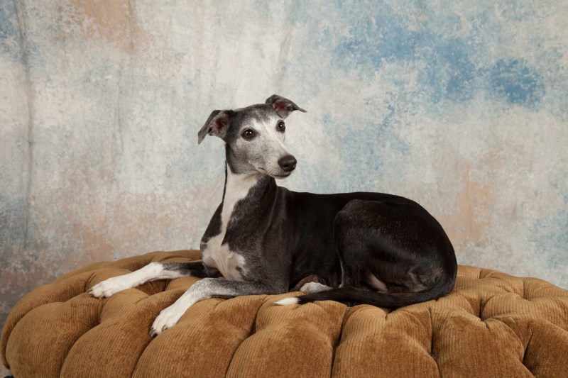 BarbGardocki11022021RAW0183