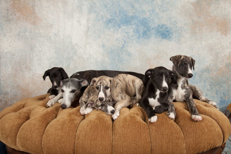 BarbGardocki11022021RAW0187