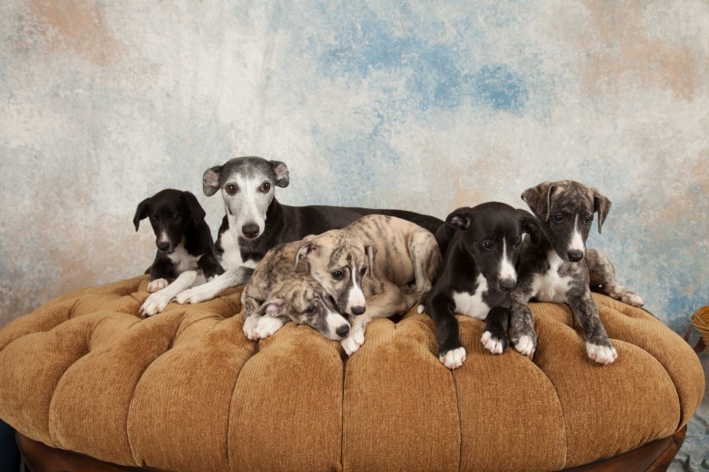 BarbGardocki11022021RAW0189