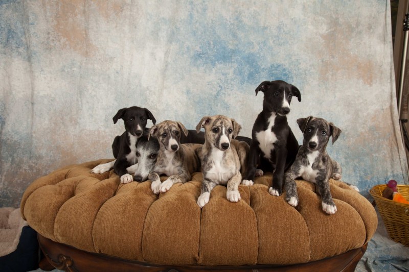 BarbGardocki11022021RAW0194