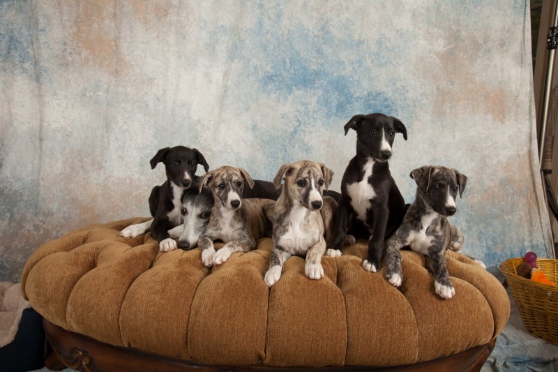 BarbGardocki11022021RAW0195