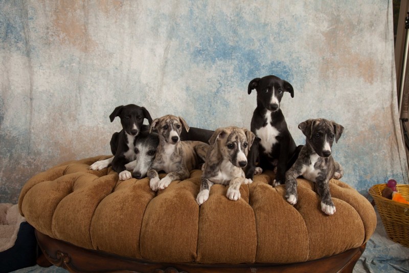 BarbGardocki11022021RAW0196