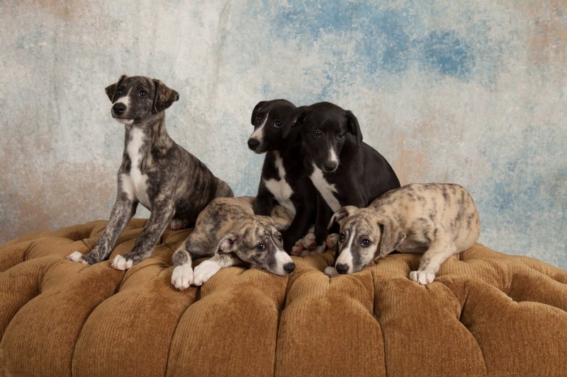 BarbGardocki11022021RAW0203