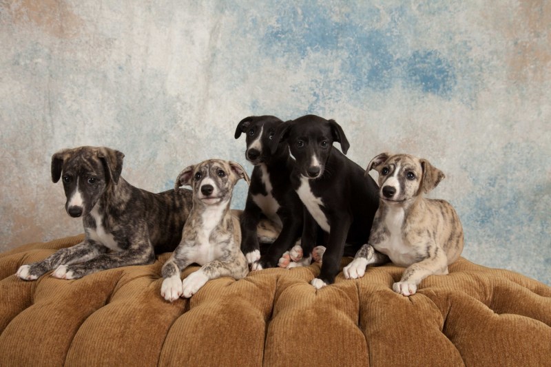 BarbGardocki11022021RAW0204