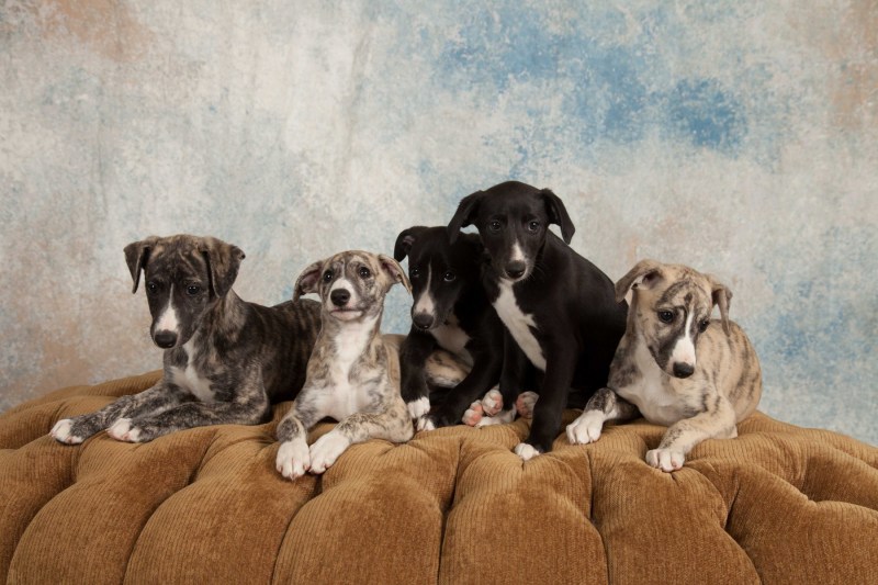 BarbGardocki11022021RAW0205