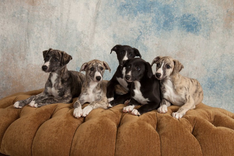 BarbGardocki11022021RAW0209