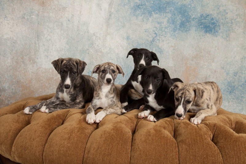 BarbGardocki11022021RAW0212