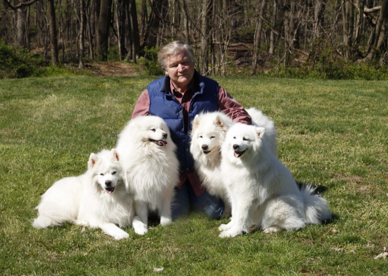 portfolio_pets07